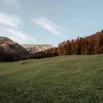 Auerhias * Saint Wolfgang