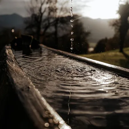Auerhias * Sankt Wolfgang im Salzkammergut