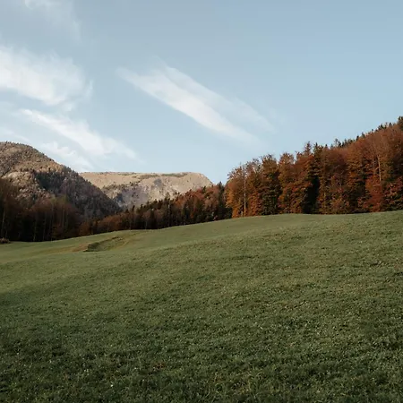 Auerhias * Sankt Wolfgang im Salzkammergut