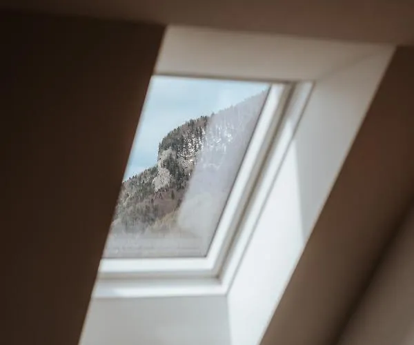 Auerhias * Saint Wolfgang