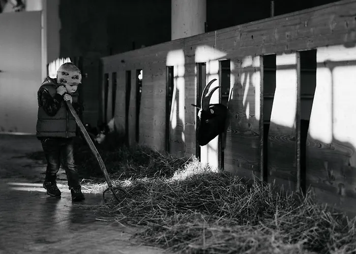 Appartamento Auerhias