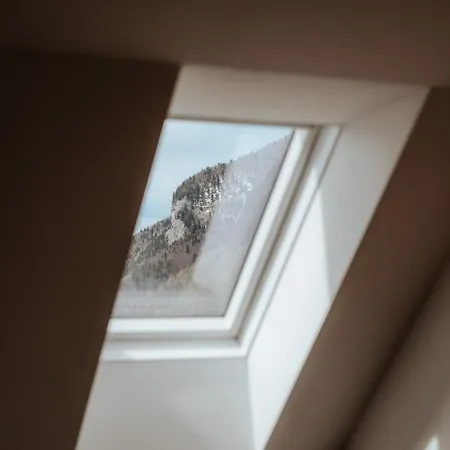 Auerhias * Saint Wolfgang