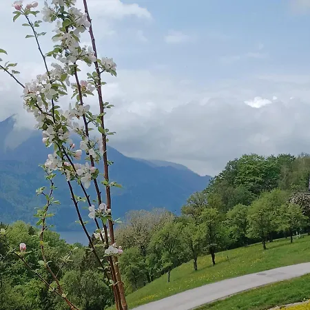 Auerhias Apartamento