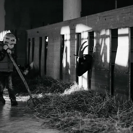 Apartamento Auerhias