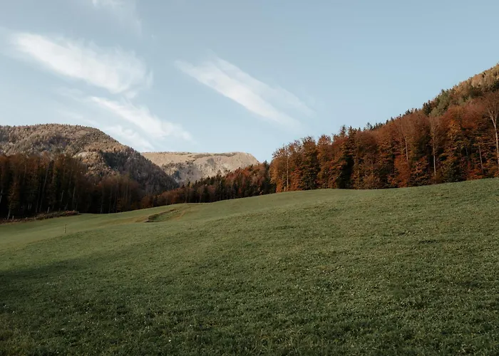 Auerhias * Saint Wolfgang